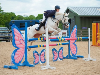 Billy Luther wins Blue Chip Pony Newcomers Second Round at Northcote Stud